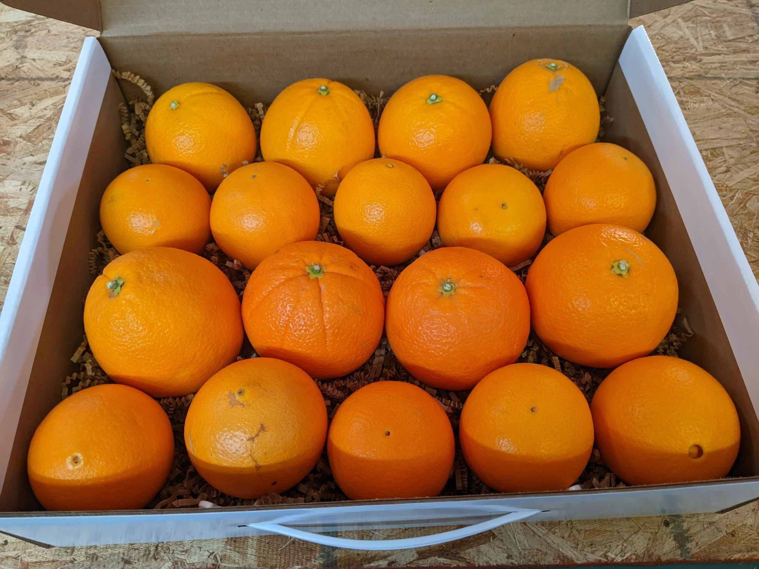 Organic Navel Oranges Gift Box — Sequoia Roots Farm